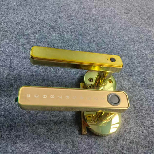500928226-1